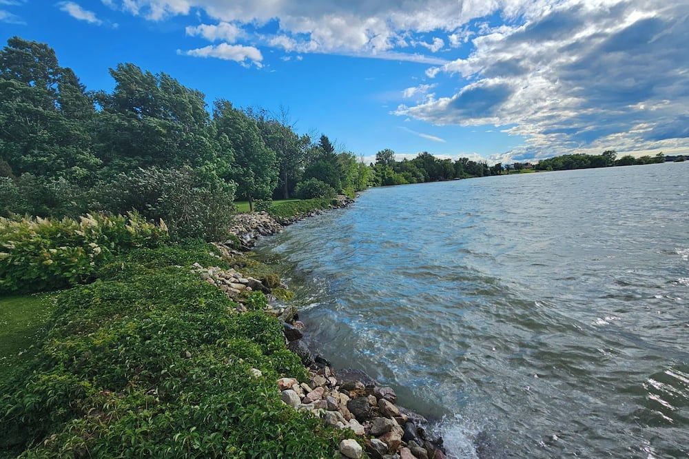 المظهر الخارجي