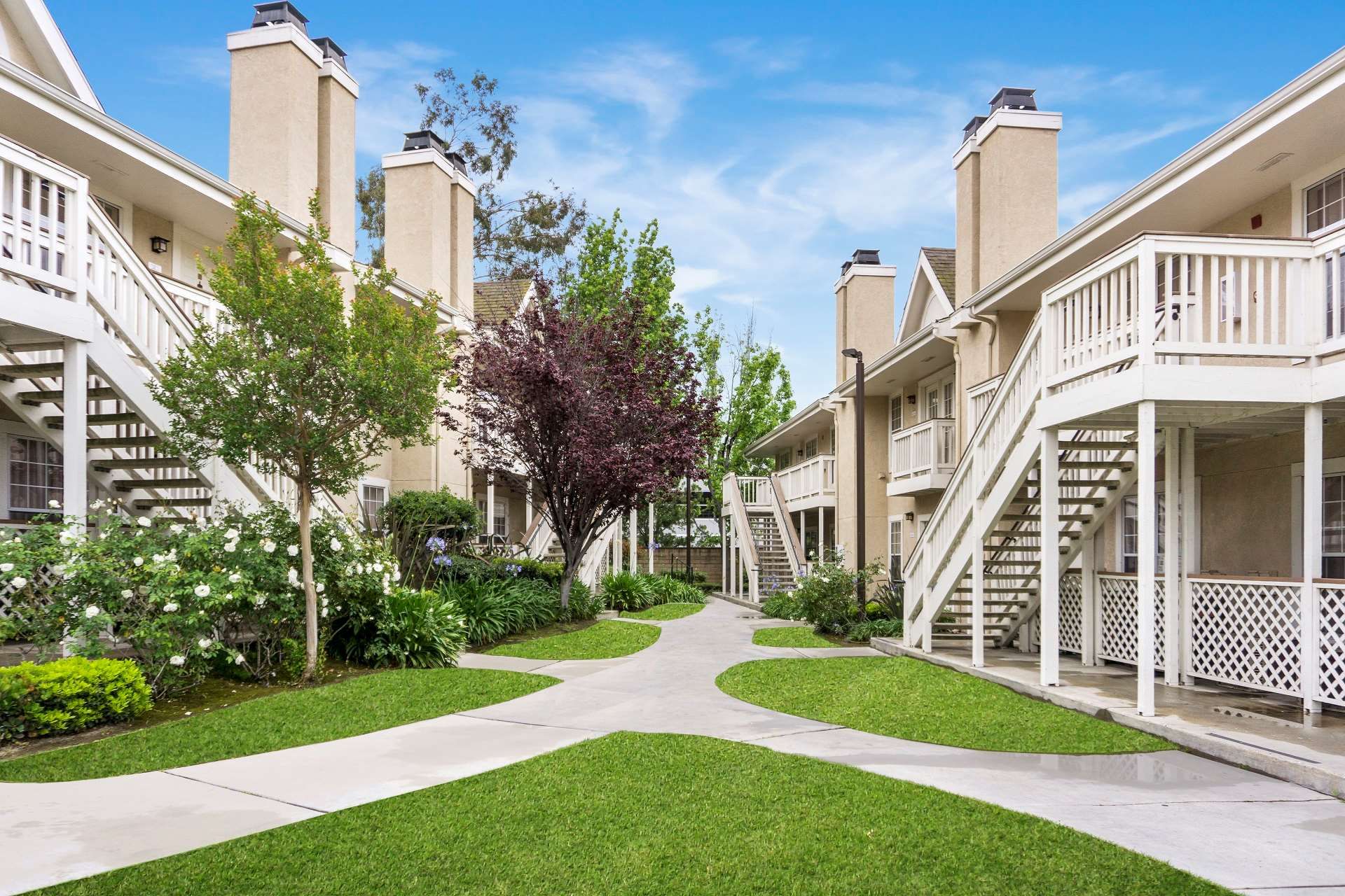 المظهر الخارجي