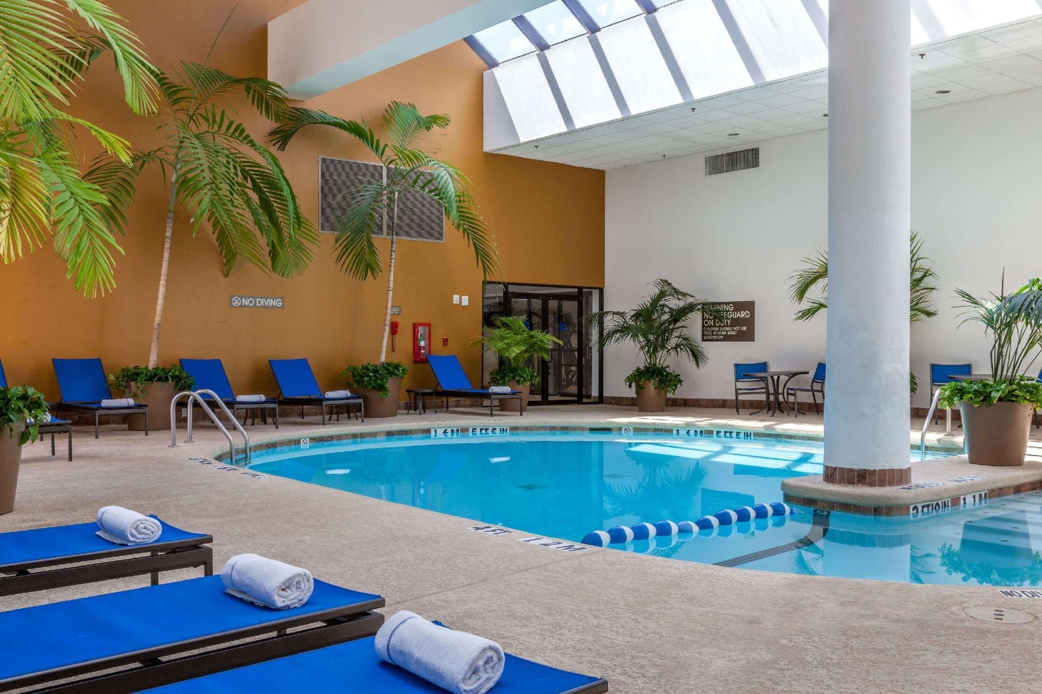 حوض السباحة