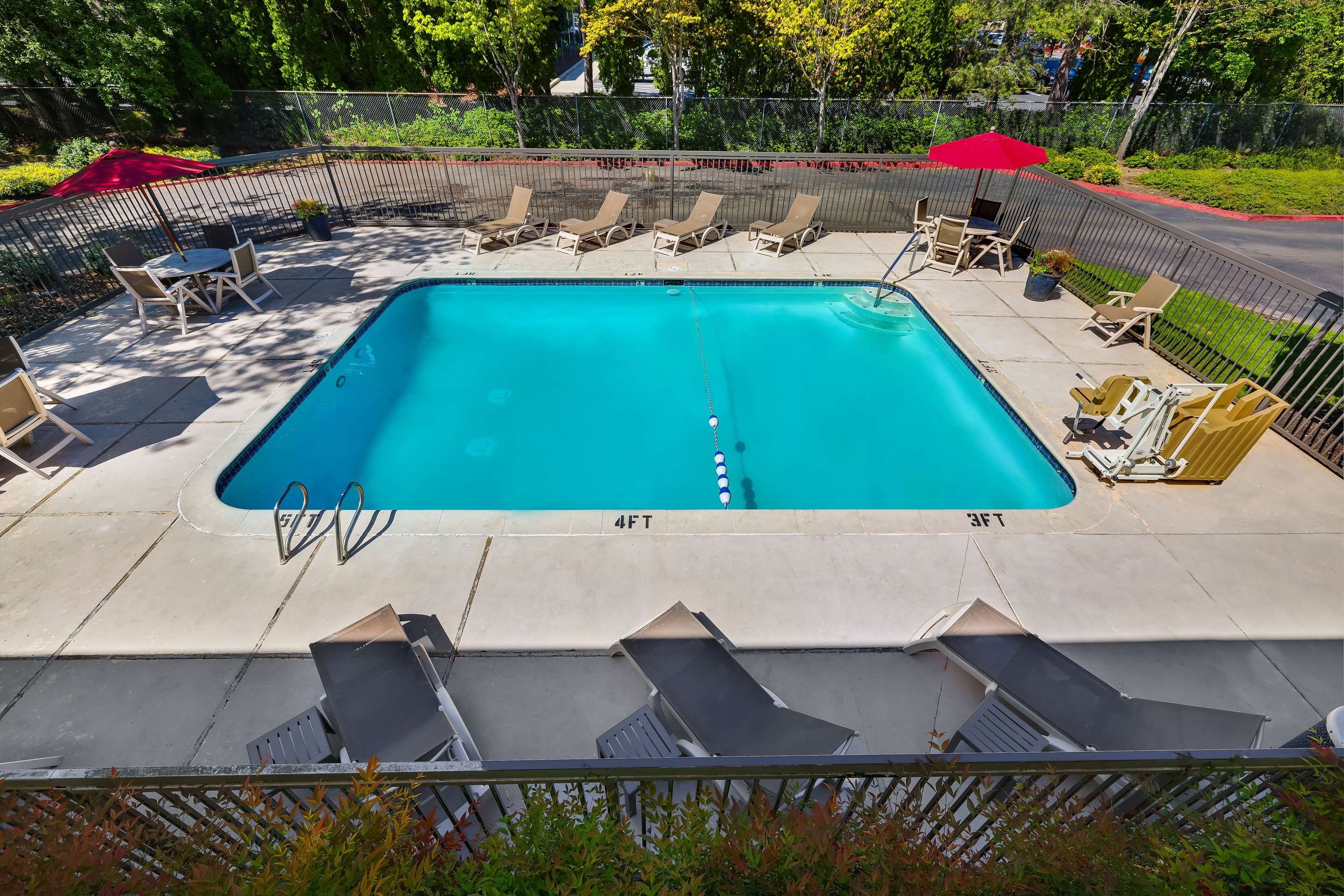 حوض السباحة