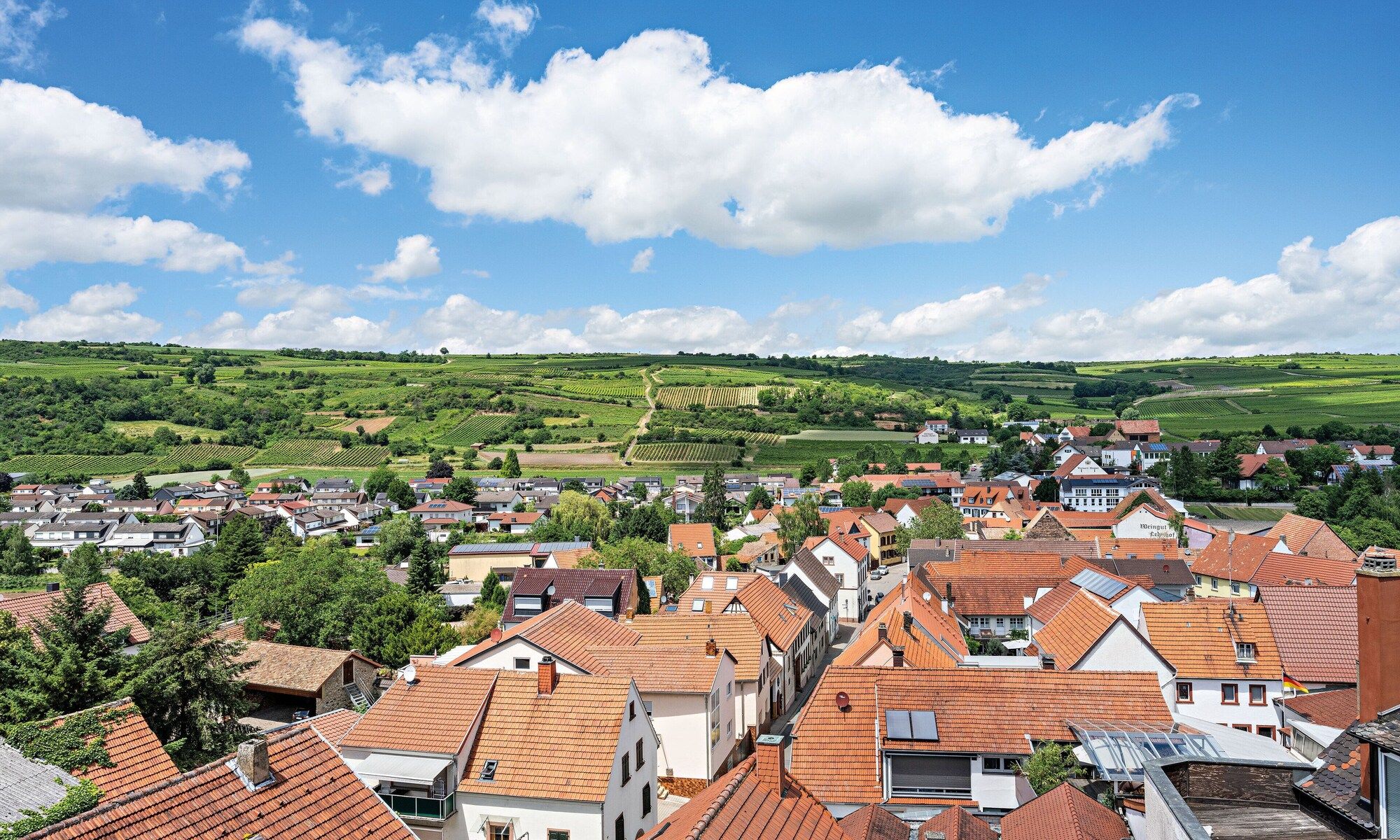 المظهر الخارجي