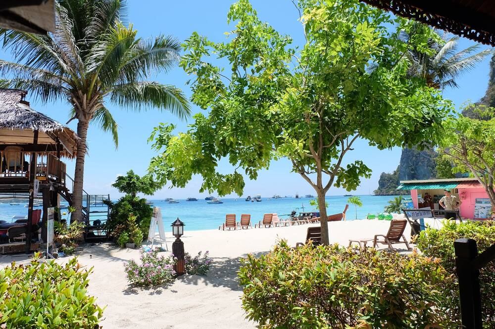 المظهر الخارجي