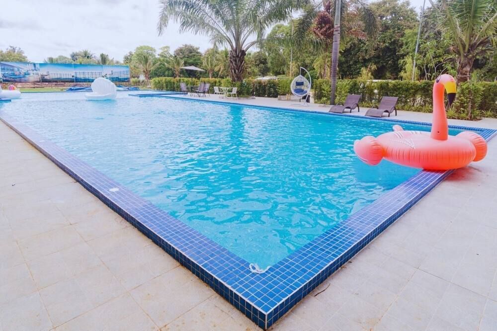 حوض السباحة