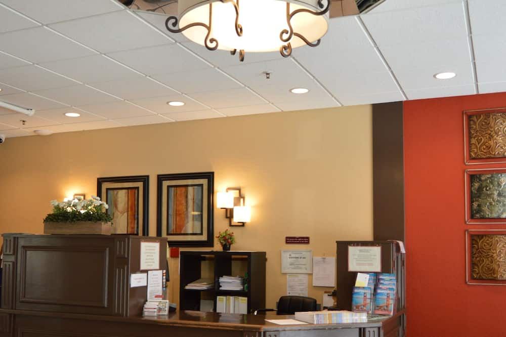 أفضل طعام صورة