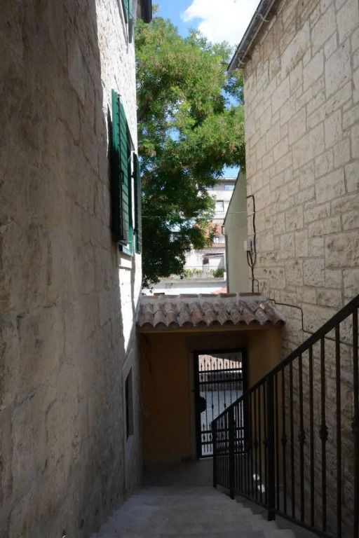 المظهر الخارجي