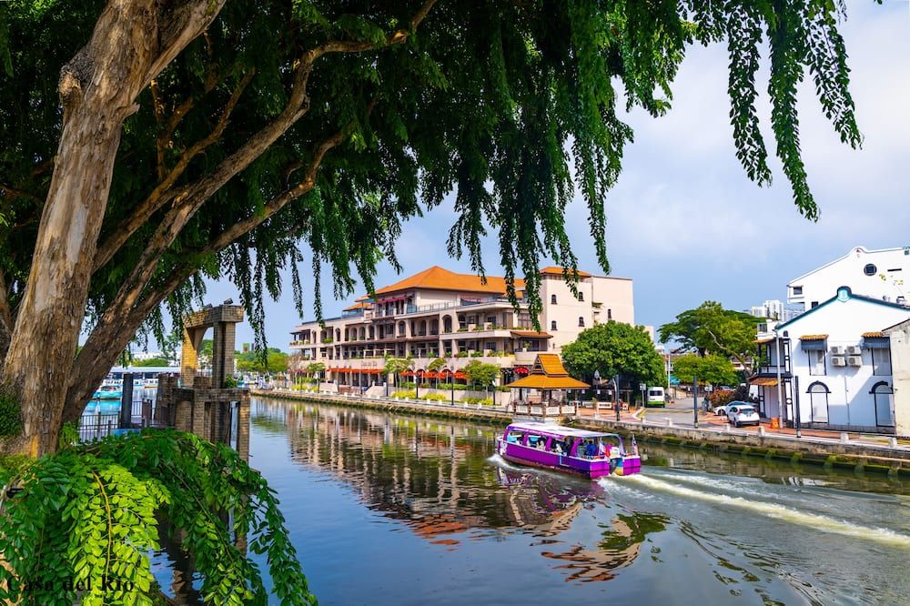 المظهر الخارجي