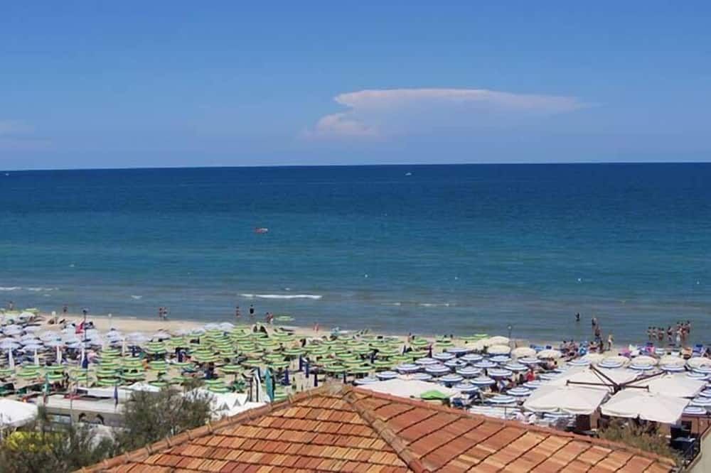 شاطئ صورة