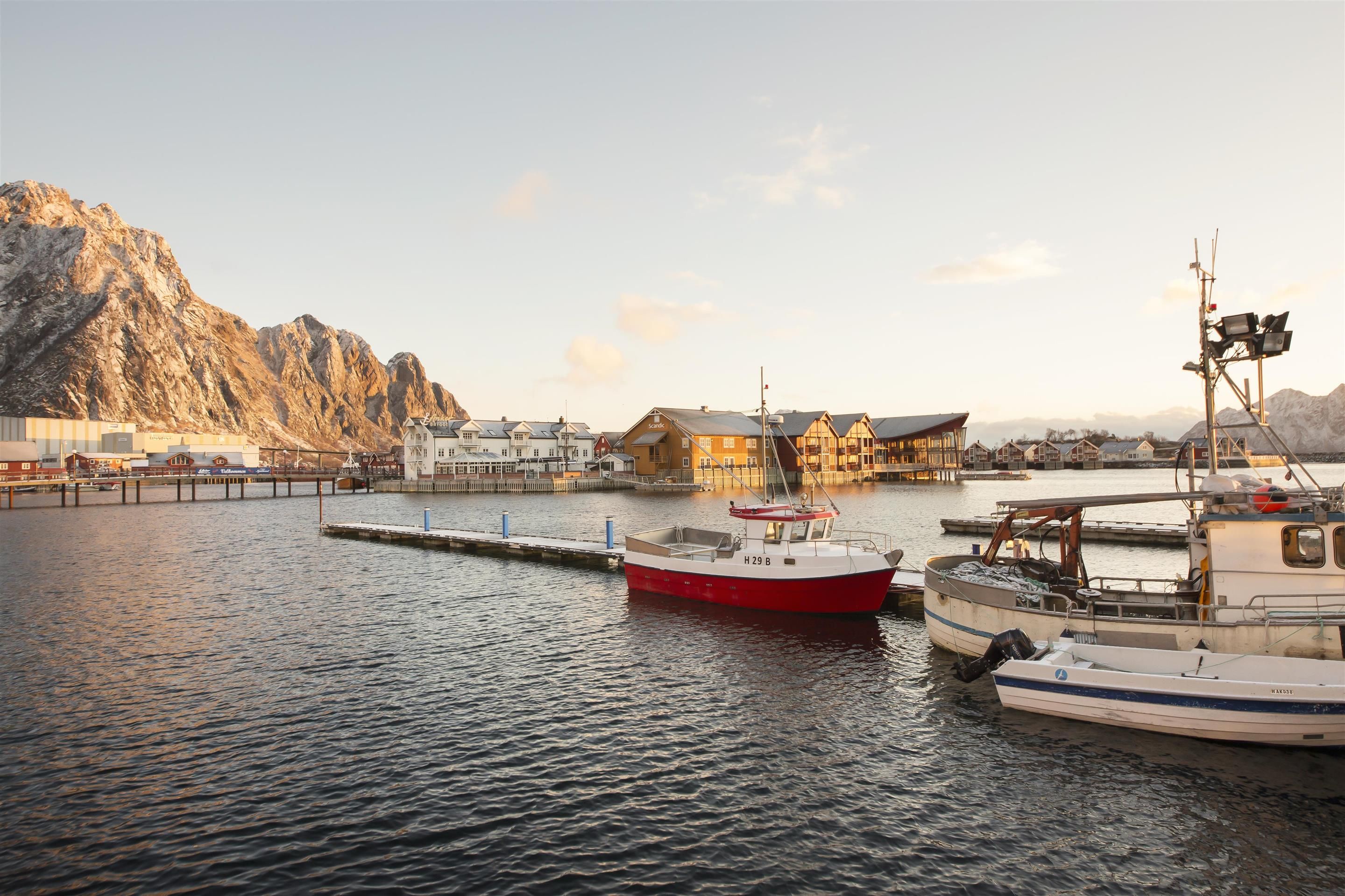 المظهر الخارجي