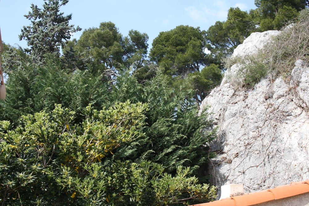 المظهر الخارجي