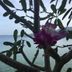 المظهر الخارجي