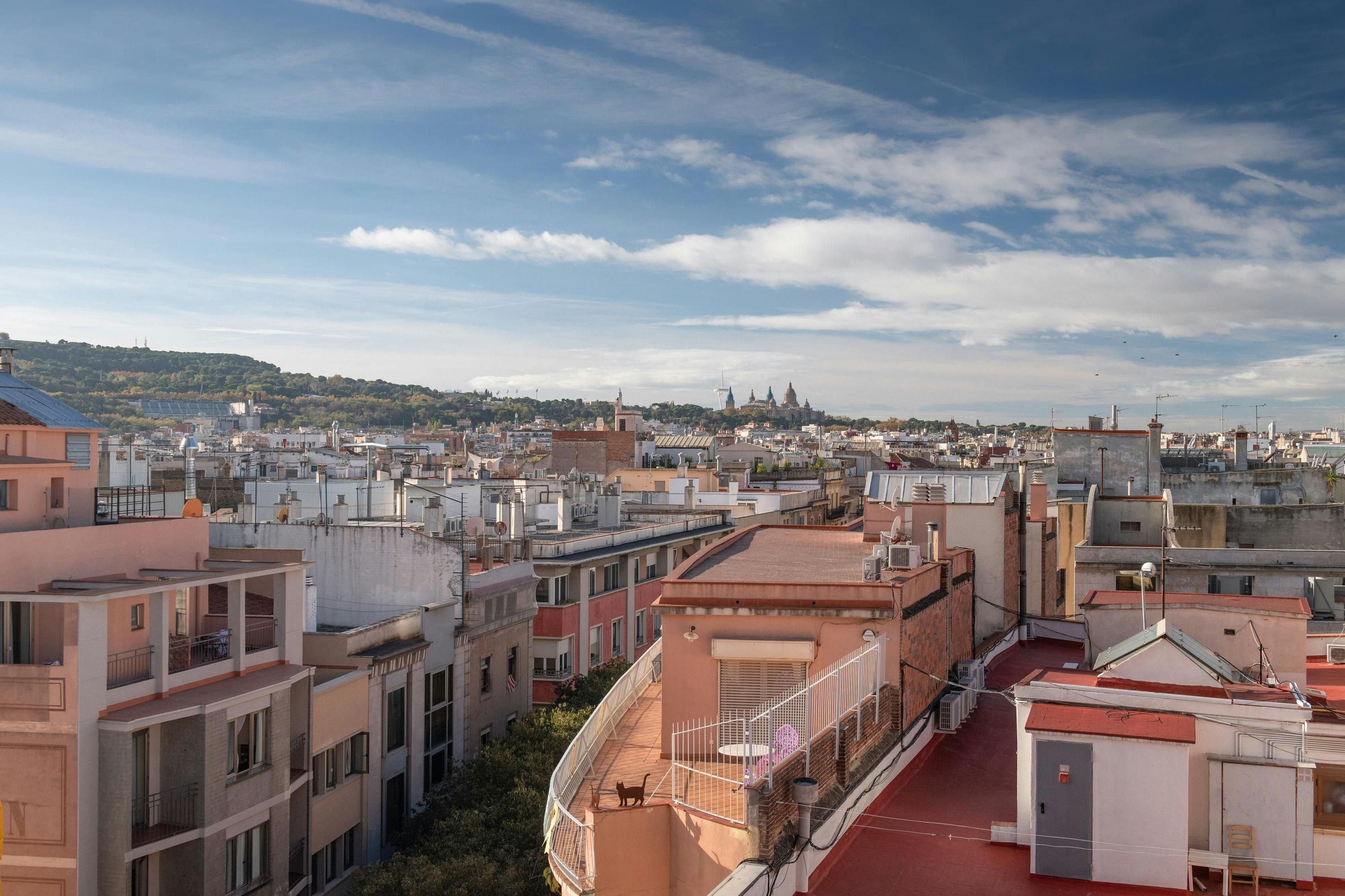 المظهر الخارجي