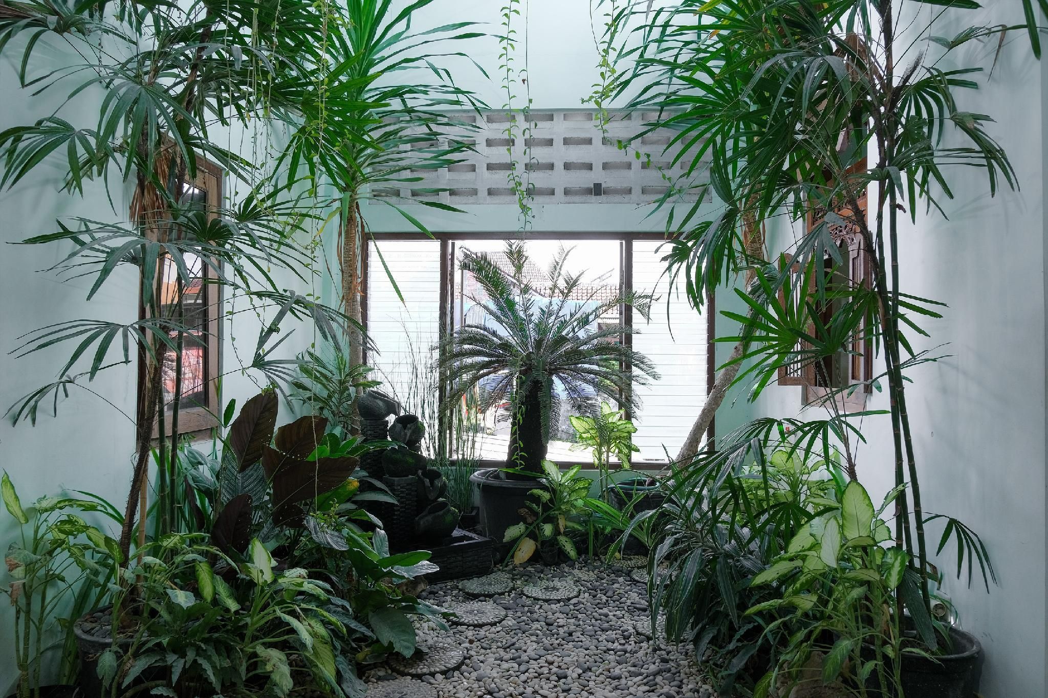 المظهر الخارجي