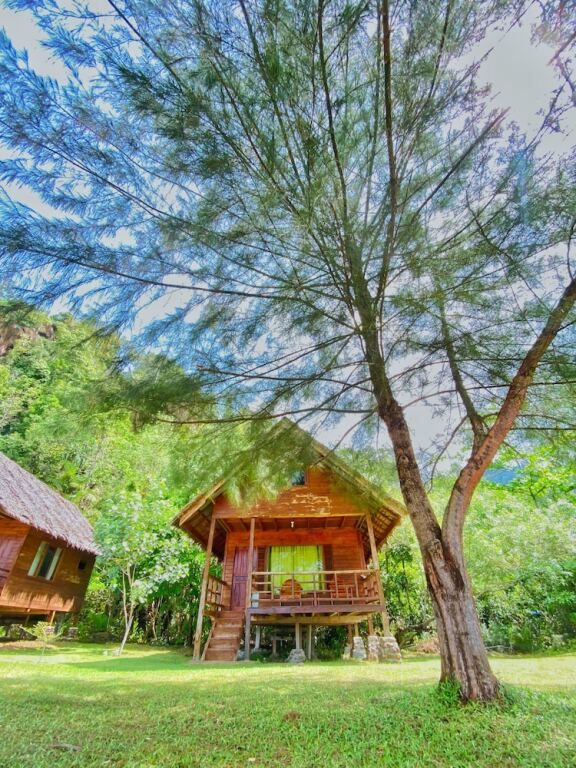 المظهر الخارجي