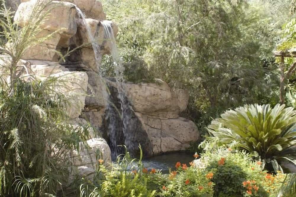 المظهر الخارجي