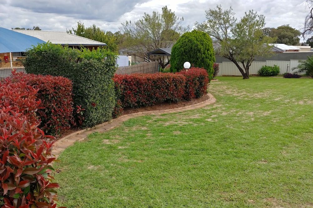 المظهر الخارجي