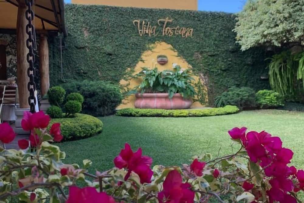المظهر الخارجي
