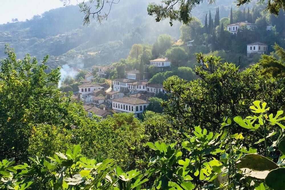 المظهر الخارجي