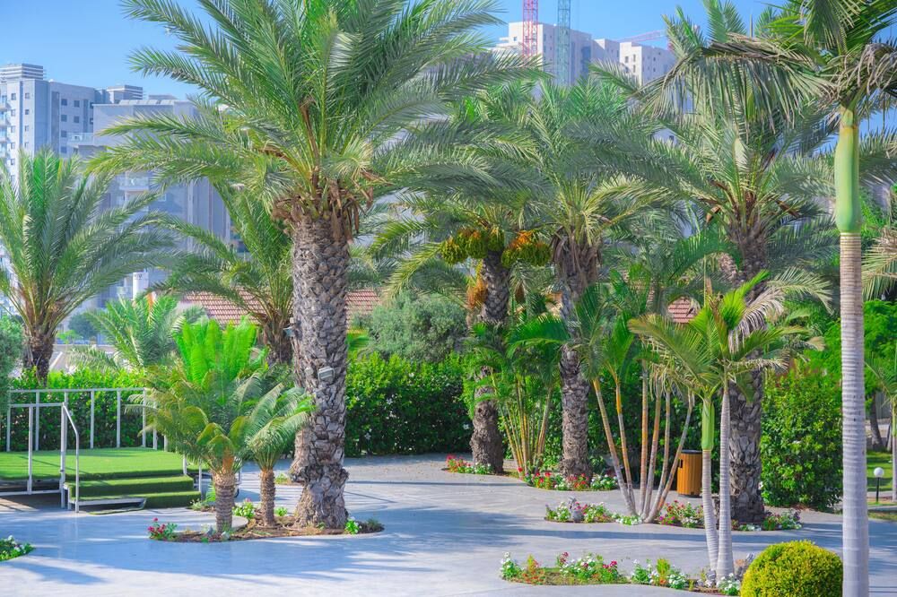 المظهر الخارجي