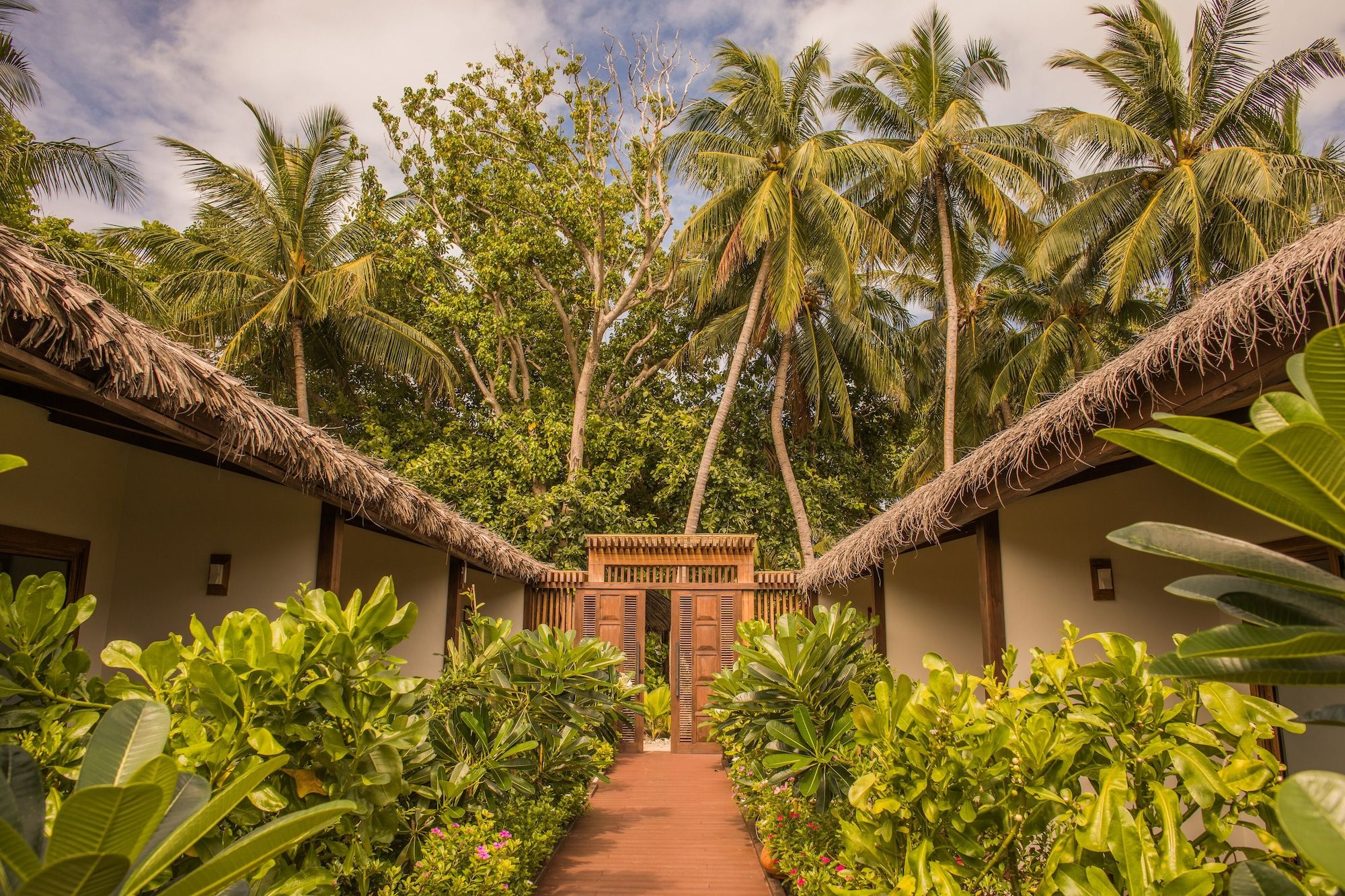 المظهر الخارجي