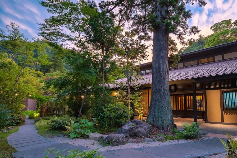 المظهر الخارجي