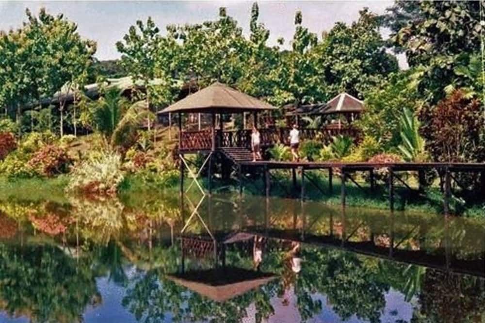 المظهر الخارجي