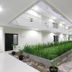 آخر