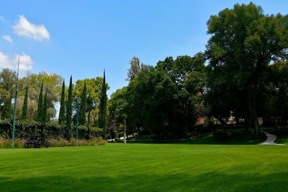 المظهر الخارجي