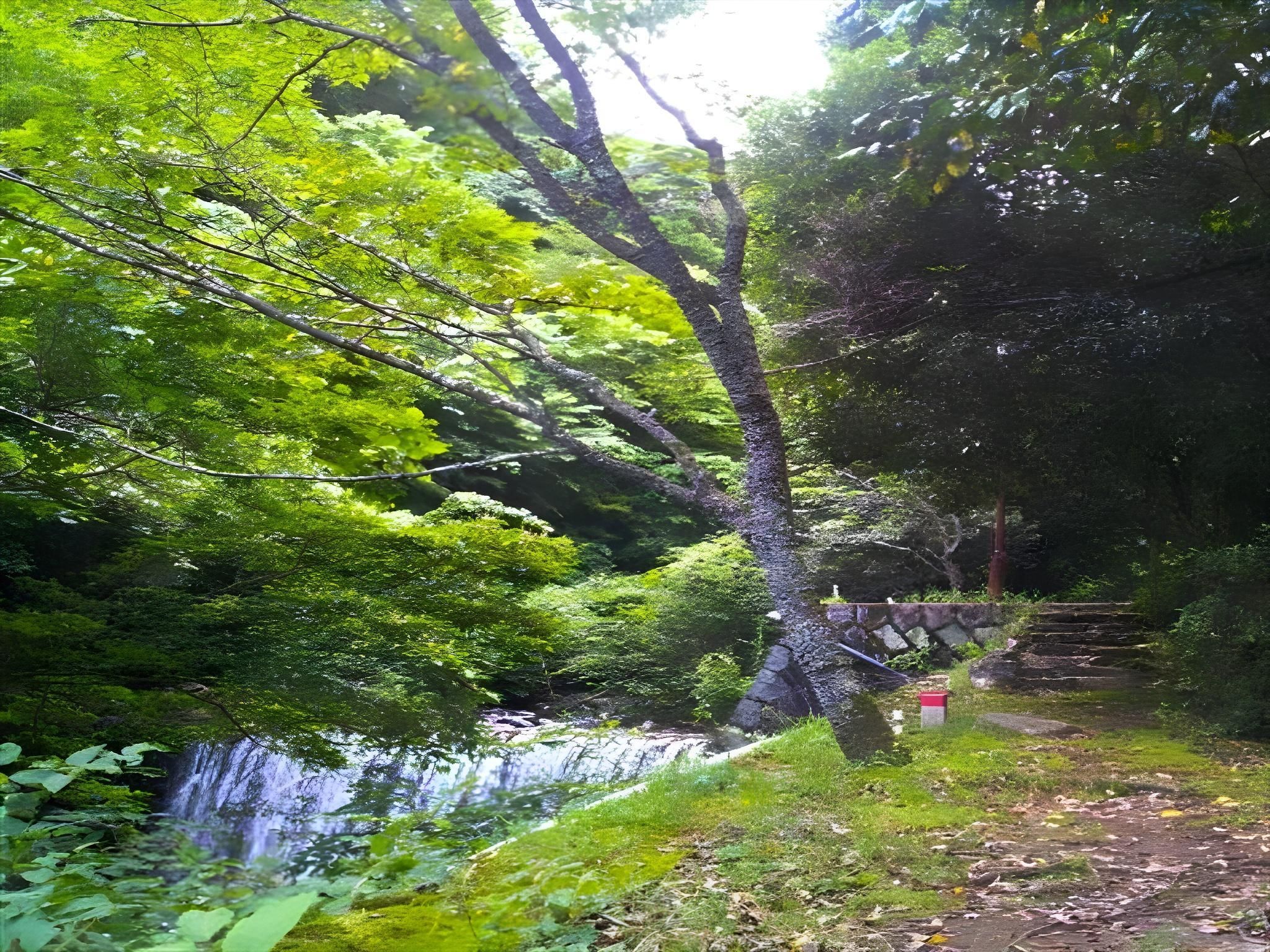 المظهر الخارجي