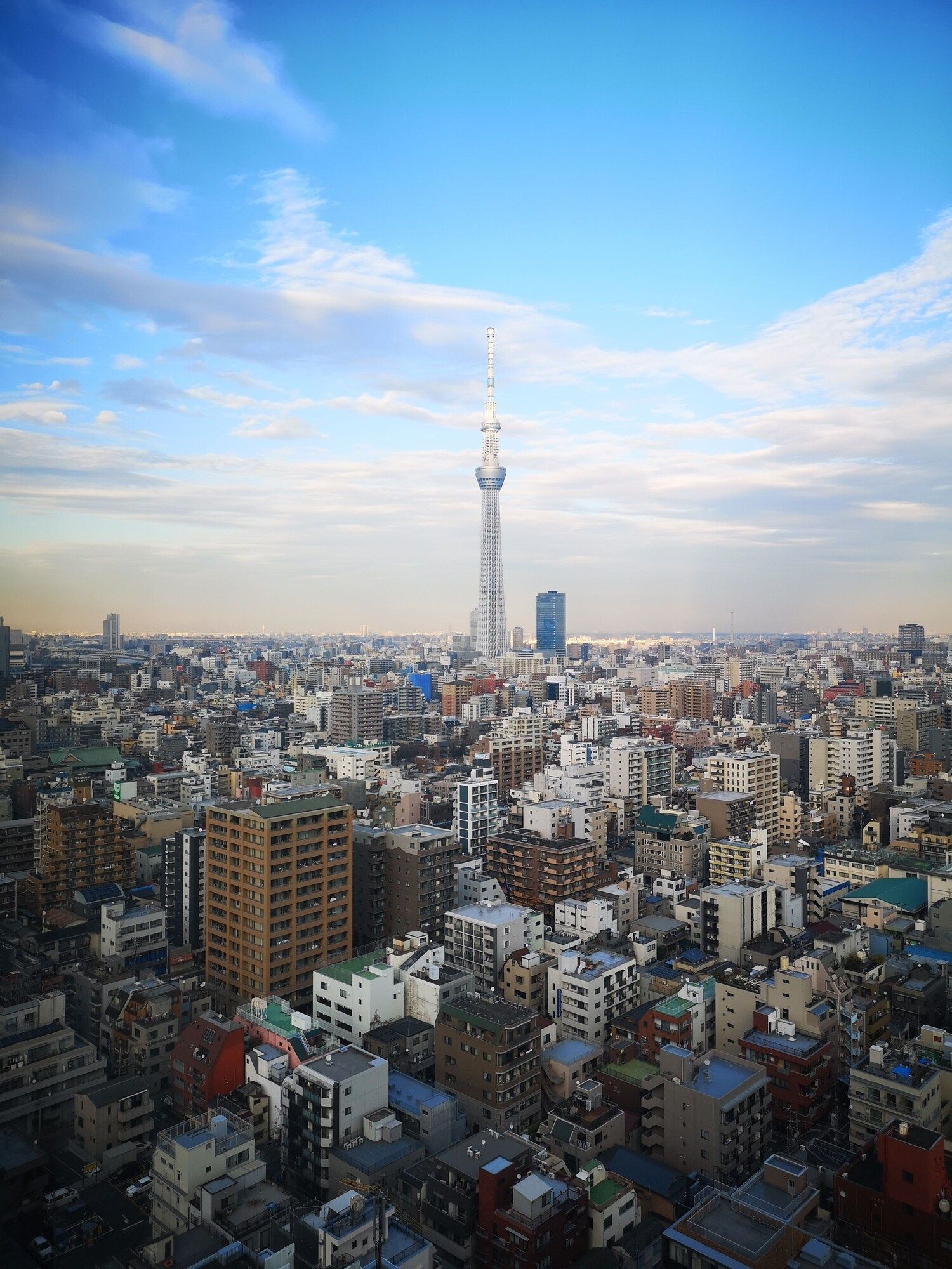 المظهر الخارجي