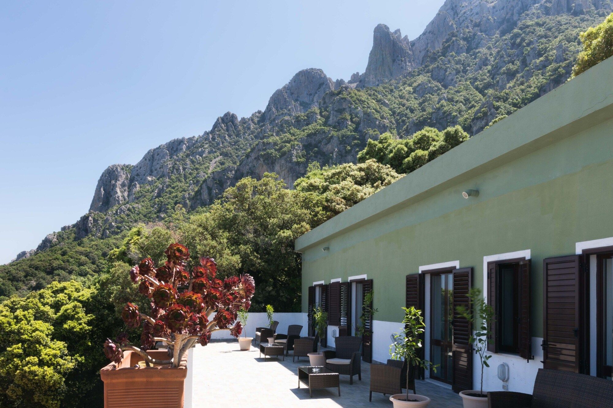 المظهر الخارجي