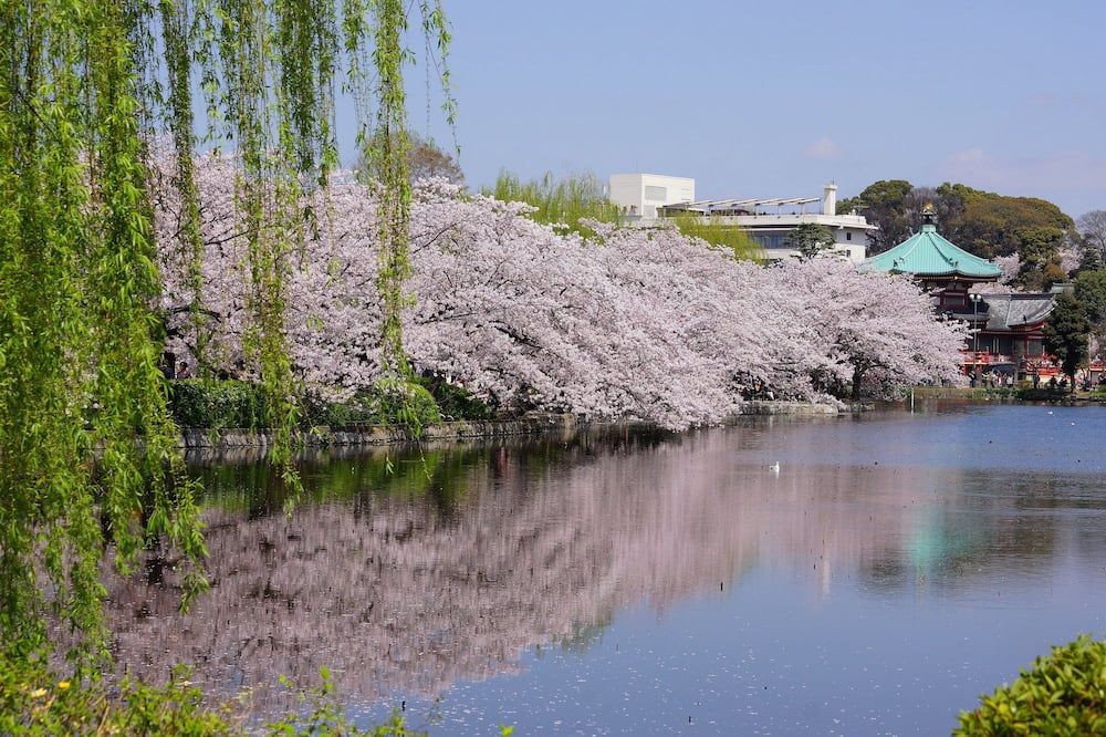المظهر الخارجي