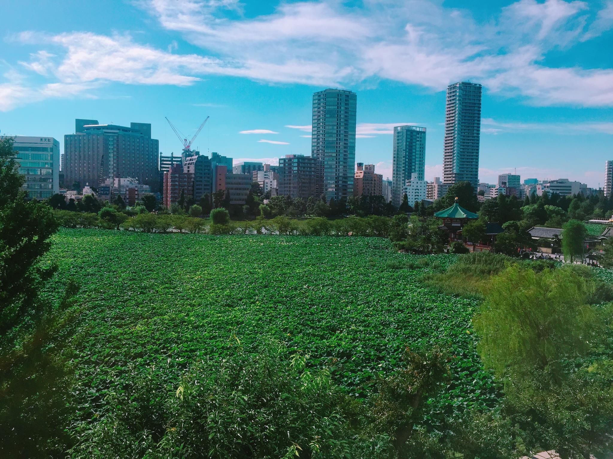 المظهر الخارجي