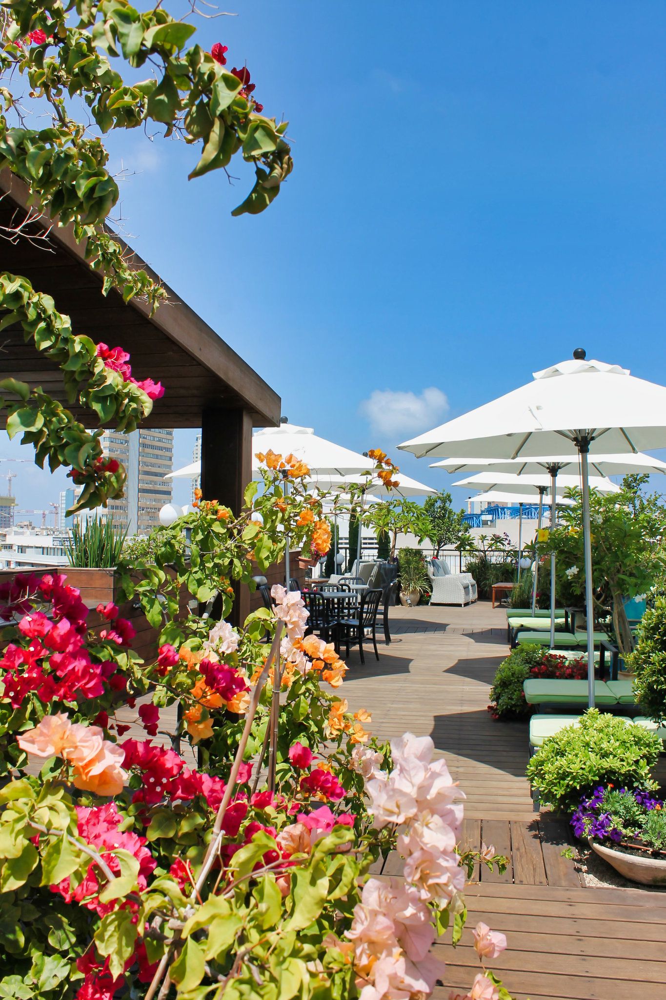 شرفة مرصوفة