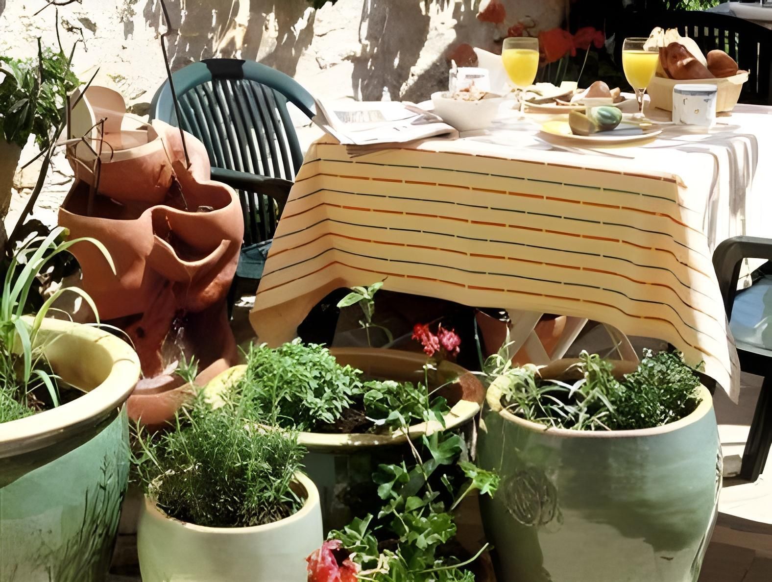 المظهر الخارجي