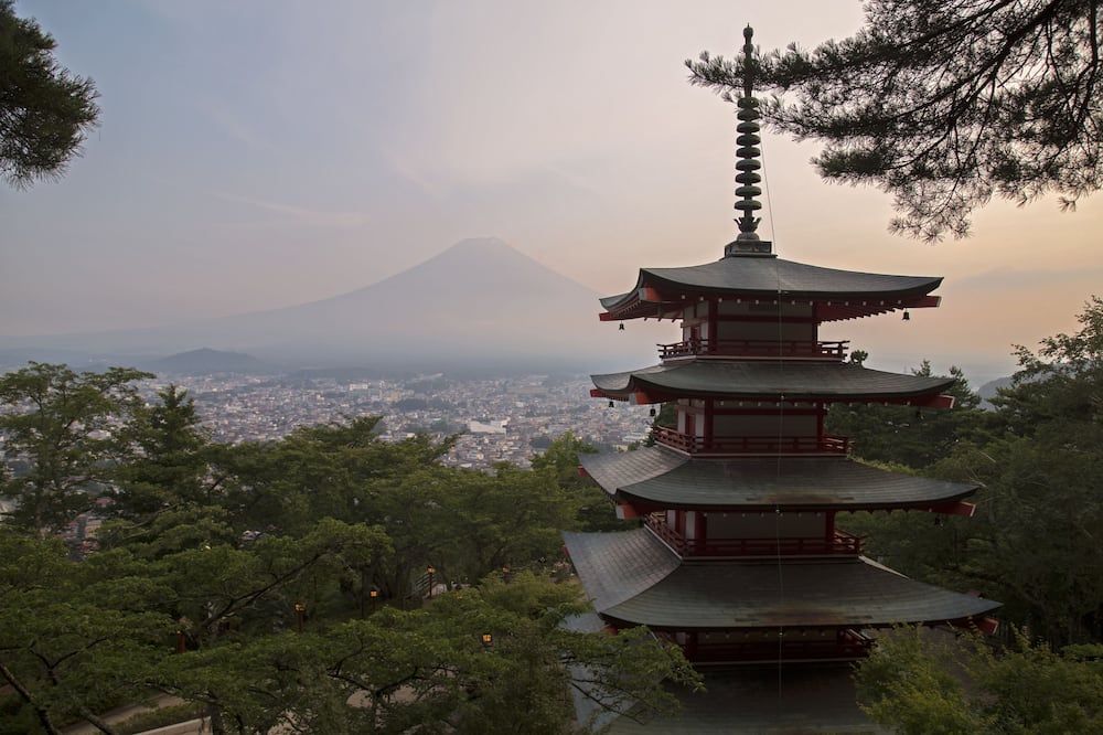 المظهر الخارجي