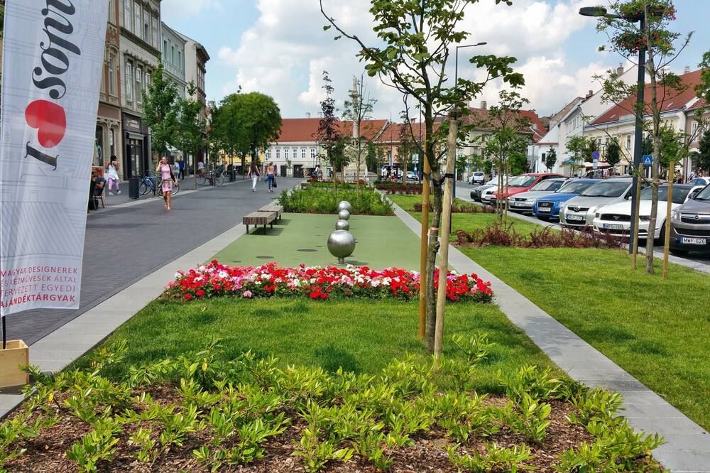 المظهر الخارجي