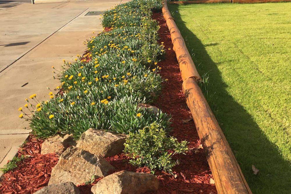 المظهر الخارجي