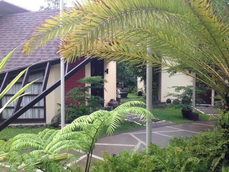 المظهر الخارجي