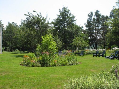 المظهر الخارجي