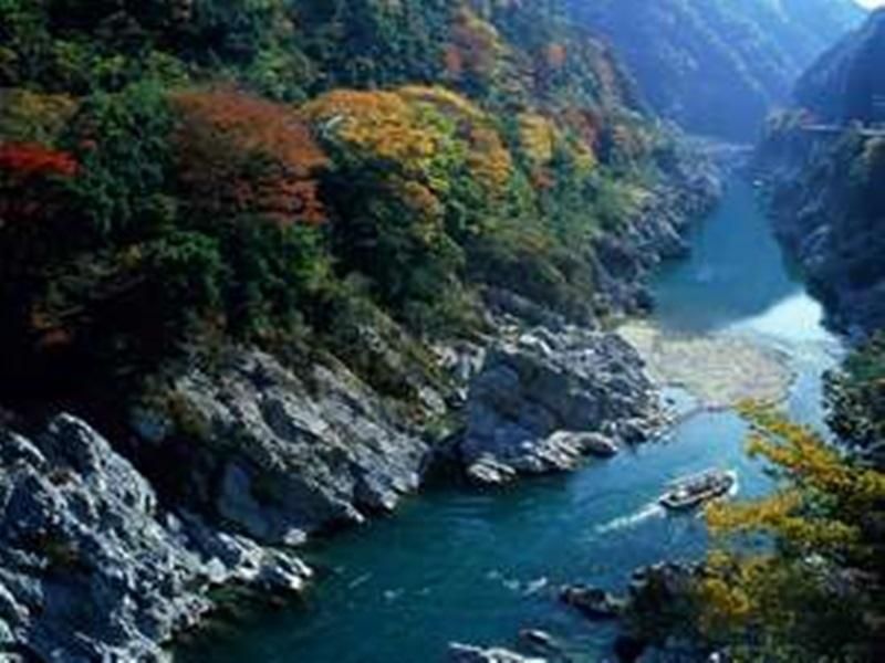 المظهر الخارجي