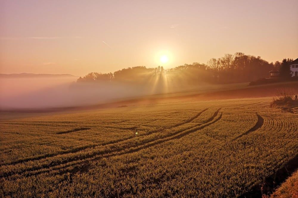المظهر الخارجي