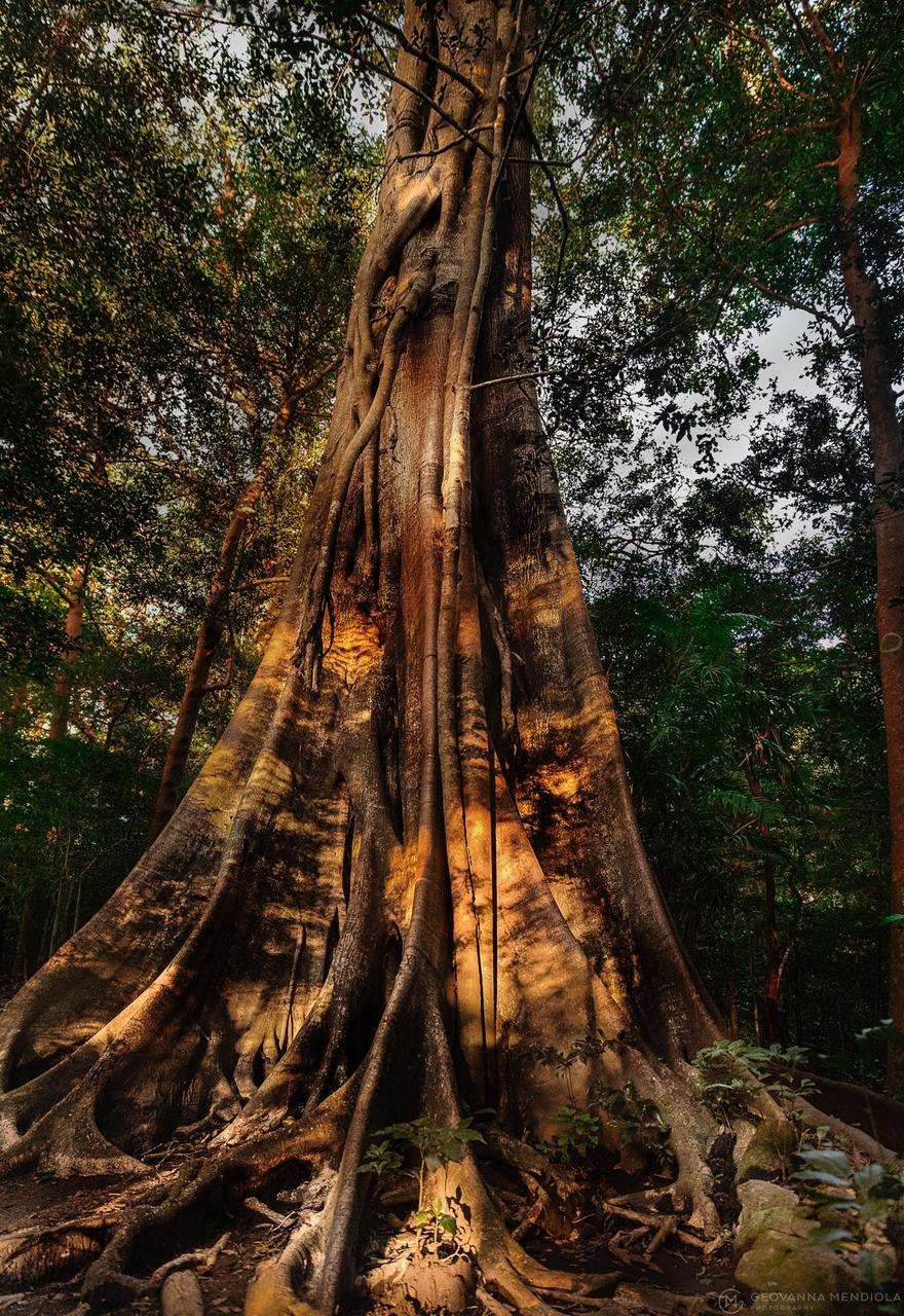 مرافق الفندق