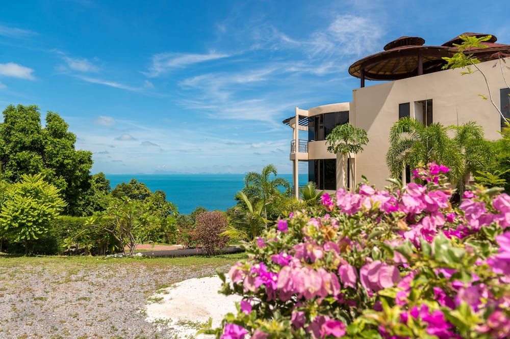 المظهر الخارجي