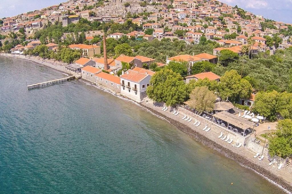 المظهر الخارجي