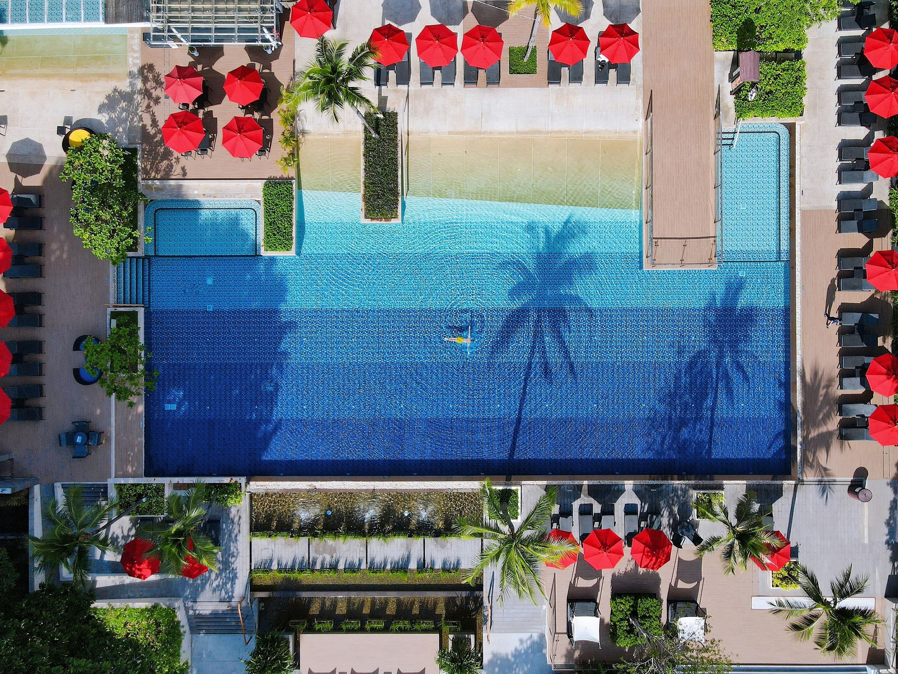 حوض السباحة