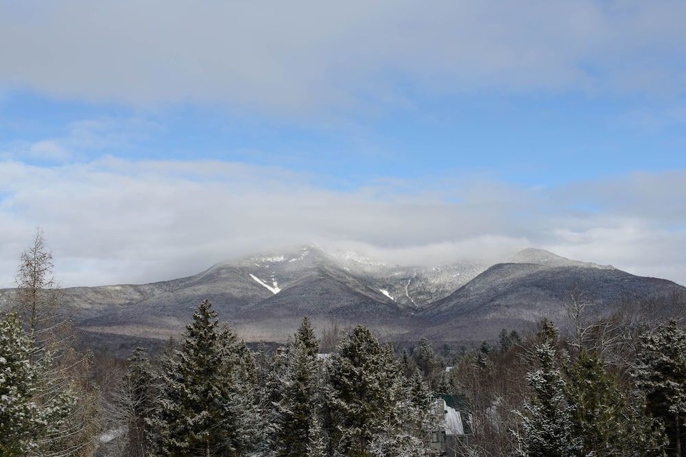 المظهر الخارجي