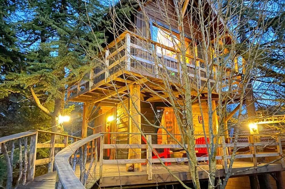 المظهر الخارجي