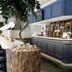 بار