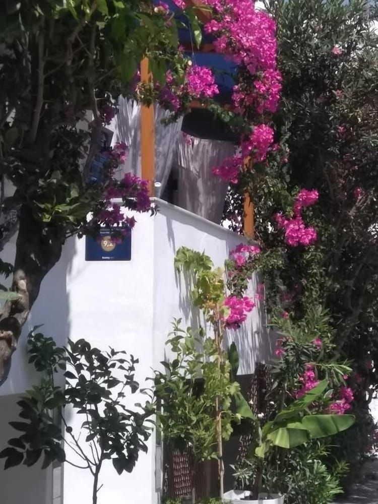 المظهر الخارجي