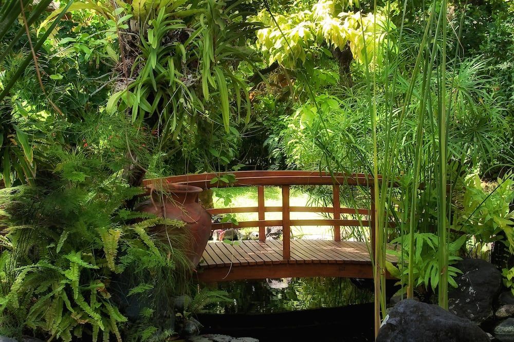 المظهر الخارجي